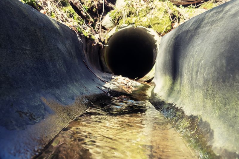Rain Garden Construction
